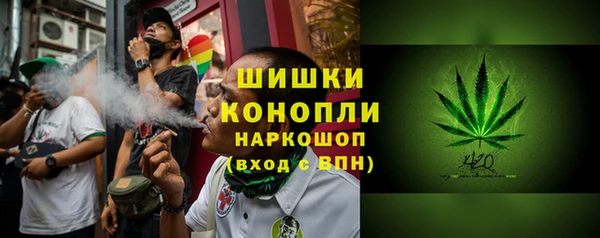 PSILOCYBIN Иннополис