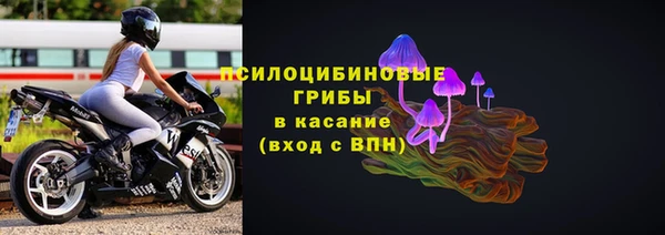 PSILOCYBIN Иннополис