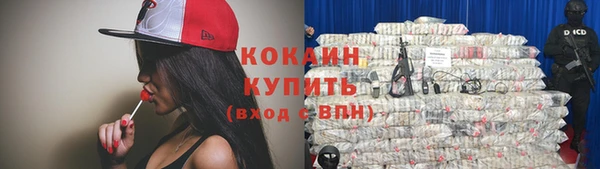 прущая мука Каменка