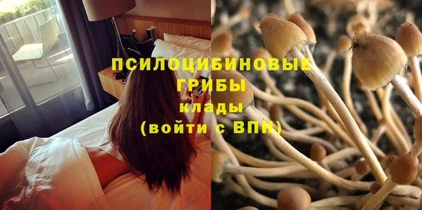 PSILOCYBIN Иннополис