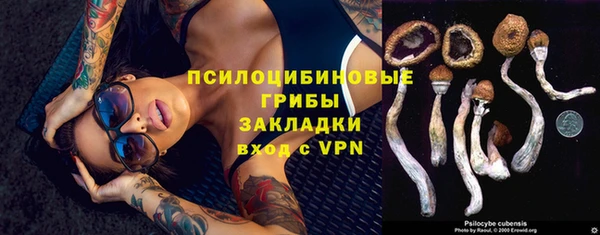 PSILOCYBIN Иннополис