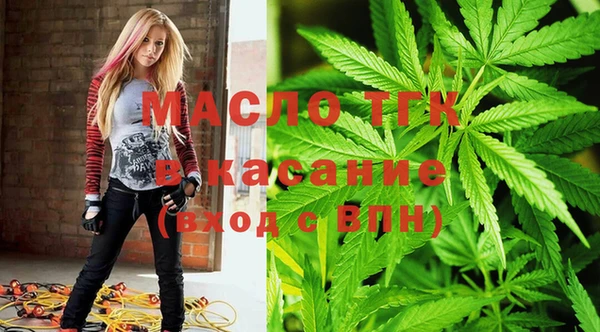 крисы Инсар