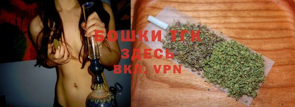 крисы Инсар